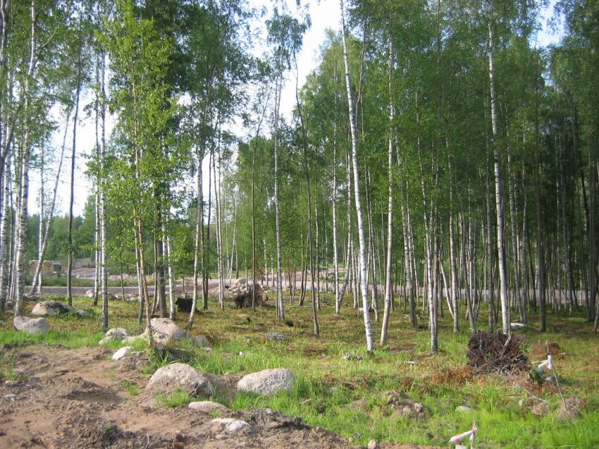 Купить Землю В Днп Зеркальный Выборгский Район