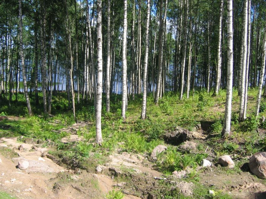 Купить Землю В Днп Зеркальный Выборгский Район